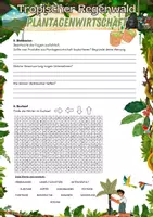 Vorschau - Arbeitsblätter - Tropischer Regenwald - Plantagenwirtschaft - Seite 3
