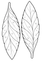 Vorschau - Mal- und Bastelvorlagen - Abschiedsprojekt Volksschule | Gemeinschaftsbild Flügel | Schulabschluss 4. Klasse | kreative Fotowand | Klassenprojekt - Seite 2