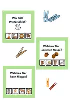 Vorschau - Stationenlernen - Clipcards Waldtiere | Lernkarten Klasse 1–4 | Sachunterricht & Lesen - Seite 2