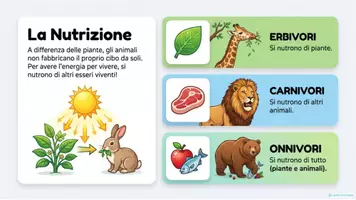 anteprima - Esercizi - GLI ANIMALI - Materiali didattici illustrati. - Pagina 3