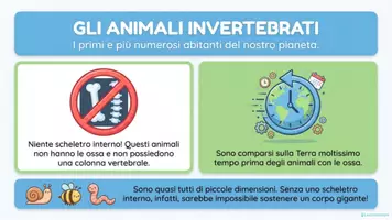 anteprima - Esercizi - GLI ANIMALI INVERTEBRATI - Materiali didattici illustrati. - Pagina 2