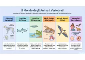 anteprima - Esercizi - GLI ANIMALI VERTEBRATI - Materiali didattici illustrati. - Pagina 1