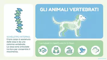 anteprima - Esercizi - GLI ANIMALI VERTEBRATI - Materiali didattici illustrati. - Pagina 2