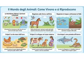 anteprima - Esercizi - GLI ANIMALI - Materiali didattici illustrati. - Pagina 1