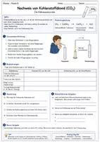 Vorschau - Arbeitsblätter - Nachweis von Kohlenstoffdioxid – Die Kalkwasserprobe - Deckblatt