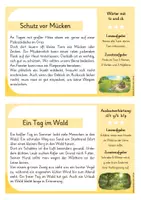Vorschau - Aufgabenkarten - Abschreibkartei Sommer - Texte Abschreiben üben - Seite 2
