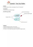 Vorschau - Experimente - Experimente Säure-Base-Reaktion Einführung - Deckblatt