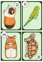 Vorschau - Arbeitsblätter - pets - Lesespaziergang / story walk: 5-fach differenziert - Seite 3