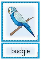 Vorschau - Poster - Picture + Word Cards / Flashcards "Pets" - Seite 3