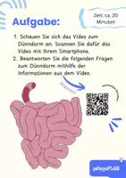 Vorschau - Arbeitsblätter - DER DÜNNDARM - Arbeitsheft (Pflege) & Biologie mit QR-Code, Bewegungsübung & Lösungen - Seite 1