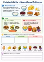 Vorschau - Stundenentwürfe - Klasse 5: Unterrichtseinheit "Gesund essen im Schulalltag" (inkl. Lösungsheft) - Seite 3