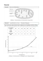 Vorschau - Test - Biologie Klausur Q1 - Stoffwechsel - Seite 3