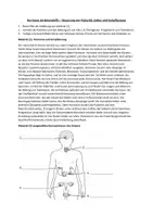 Vorschau - Arbeitsblätter - Materialpaket Fortpflanzung und Menstruation - Deckblatt