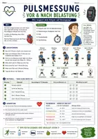 Vorschau - Arbeitsblätter - Materialpaket Sportunterricht: Arbeitsblätter zu Fitness, Puls, Koordination und Bewegungsbeschreibung - Seite 1