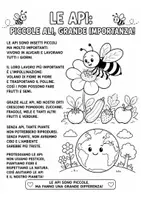 anteprima - Testo - Storia in stampatello maiuscolo sulle api - Pagina 1