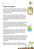 Voorbeeld - Huistaak begrijpend lezen: zaadjes planten - Voorblad