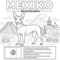 Vorschau - Mal- und Bastelvorlagen - Nationaltiere Nordamerika Ausmalbilder (23 Malvorlagen) inkl. Stundenentwurf (PDF) - Seite 3
