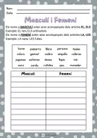 Vista previa - Hojas de trabajo - CAT Singular, plural, femení, masculí - página 1
