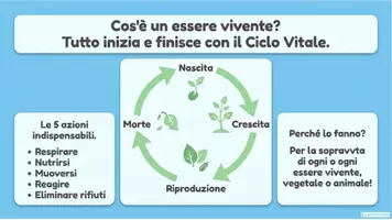 anteprima - Esercizi - I VIVENTI - Materiali didattici illustrati. - Pagina 3