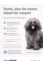 Vorschau - Arbeitsblätter - Tschick – Erzählstil, Sprache und Interpretation - Seite 1