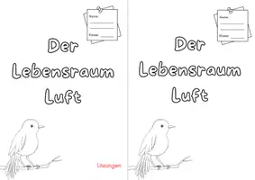 Vorschau - Arbeitsblätter - Lebensraum Luft - Material zur Unterrichtsreihe - Seite 2