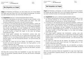 Vorschau - Arbeitsblätter - Lebensraum Luft - Material zur Unterrichtsreihe - Seite 3