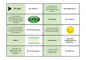 Vorschau - Spiele - Domino-Spiel: Aufbau der Zelle (Zellorganellen) - Seite 1