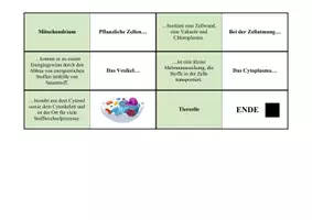 Vorschau - Spiele - Domino-Spiel: Aufbau der Zelle (Zellorganellen) - Seite 3