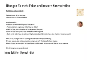 Vorschau - Spiele - Fokus und Konzentration - Seite 2