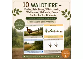 Vorschau - Spiele - 10 Waldtiere - 40 Montessori-Lernkarten mit Selbstkontrolle - Deckblatt