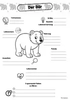 Vorschau - Arbeitsblätter - Steckbrief Bär & Bärenklasse - Seite 3