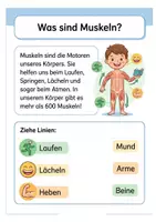 Vorschau - Arbeitsblätter - Die Muskel‑Experten: Muskeln & Bewegung verstehen · Arbeitsheft + Quiz · Klasse 3–4 - Seite 1