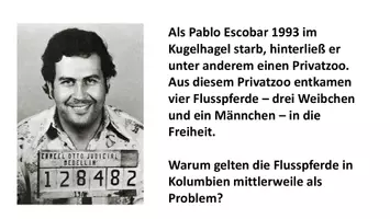 Vorschau - Stundenentwürfe - Mystery Neobiota/ invasive Art - Pablo Escobars Flusspferde - Seite 3
