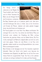 Vorschau - Unterrichtsreihen - Judentum Wissenskartei und Arbeitsblätter - Weltreligionen Ethik Religion - Seite 3