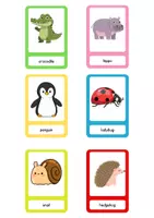 Vorschau - Bildkarten - Flashcards (Animals, Food, Forest) - Seite 1