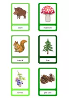 Vorschau - Bildkarten - Flashcards (Animals, Food, Forest) - Seite 3
