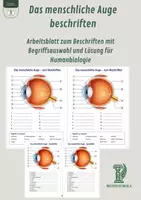 Vorschau - Arbeitsblätter - Das menschliche Auge beschriften – Arbeitsblatt zum Beschriften mit Begriffsauswahl und Lösung für Humanbiologie - Deckblatt