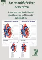 Vorschau - Arbeitsblätter - Das menschliche Herz beschriften – Arbeitsblatt zum Beschriften mit Begriffsauswahl und Lösung für Humanbiologie - Deckblatt