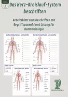 Vorschau - Arbeitsblätter - Das Herz-Kreislauf-System beschriften – Arbeitsblatt zum Beschriften mit Begriffsauswahl und Lösung für Humanbiologie - Deckblatt