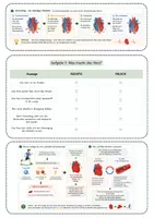 Vorschau - Unterrichtsreihen - Blut als Transportmittel – Arbeitsblatt mit Fallimpuls, Stofftransport, Blutbestandteilen, Lösung und S/W-Version - Seite 2