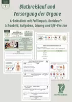 Vorschau - Unterrichtsreihen - Blutkreislauf und Versorgung der Organe – Arbeitsblatt mit Fallimpuls, Kreislauf-Schaubild, Aufgaben, Lösung und S/W-Version - Deckblatt