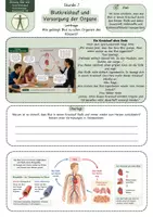 Vorschau - Unterrichtsreihen - Blutkreislauf und Versorgung der Organe – Arbeitsblatt mit Fallimpuls, Kreislauf-Schaubild, Aufgaben, Lösung und S/W-Version - Seite 1