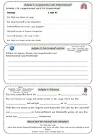 Vorschau - Unterrichtsreihen - Blutkreislauf und Versorgung der Organe – Arbeitsblatt mit Fallimpuls, Kreislauf-Schaubild, Aufgaben, Lösung und S/W-Version - Seite 3
