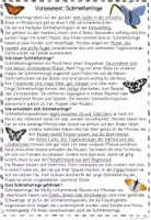 Vorschau - Arbeitsblätter - Schmetterlinge - Seite 2