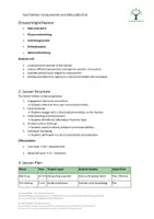 Vorschau - Stundenentwürfe - Fast Fashion Unterrichtseinheit Englisch Oberstufe B2 + C1 - Seite 2