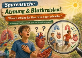 Vorschau - Unterrichtsreihen - Vertretungsstunden Biologie 7/8 – 10 Materialien zu Körper, Gesundheit, Ernährung, Atmung und Bewegung - Mysterys, Escape-Games, Teamspiele und Wiederholungsmaterial - Seite 2