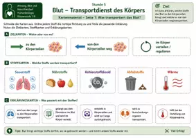 Vorschau - Bildkarten - Karten: Blut als Transportdienst des Körpers – Kartenmaterial mit Stoffkarten, Zielkarten, Erklärungskarten, Blutbestandteilen und Aufgaben - Seite 1