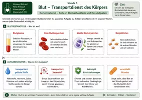 Vorschau - Bildkarten - Karten: Blut als Transportdienst des Körpers – Kartenmaterial mit Stoffkarten, Zielkarten, Erklärungskarten, Blutbestandteilen und Aufgaben - Seite 2