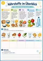 Vorschau - Stundenentwürfe - Klasse 5: Unterrichtseinheit Ernährung "Gesund essen im Schulalltag" (inkl. Lösungsheft) - Seite 1