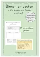 Vorschau - Stundenentwürfe - Bienen: Wie können wir Bienen schützen? - Deckblatt